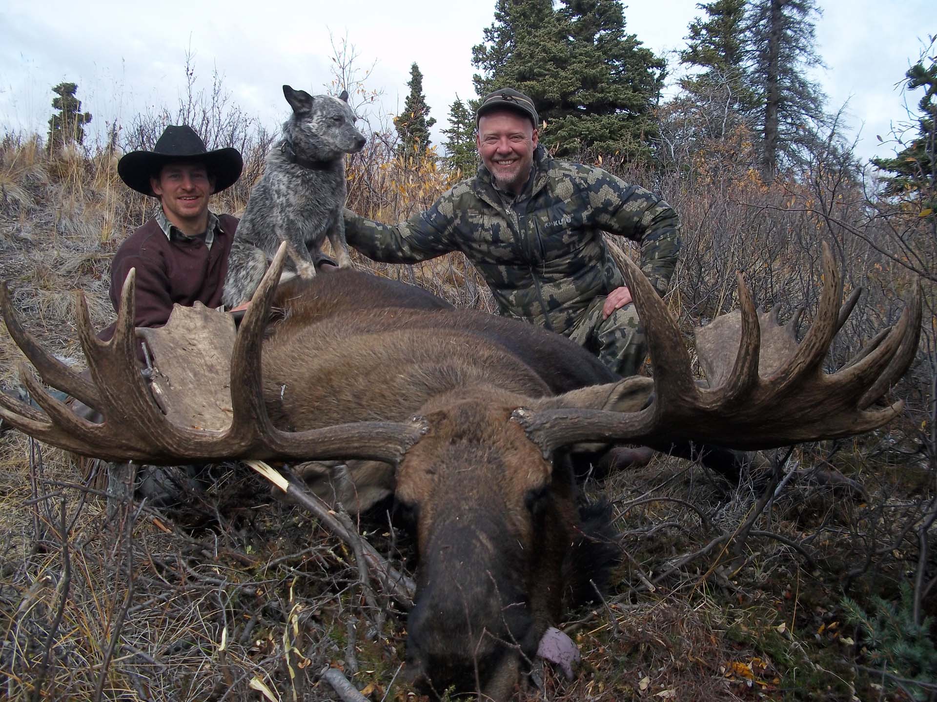 Yukon Moose Hunting