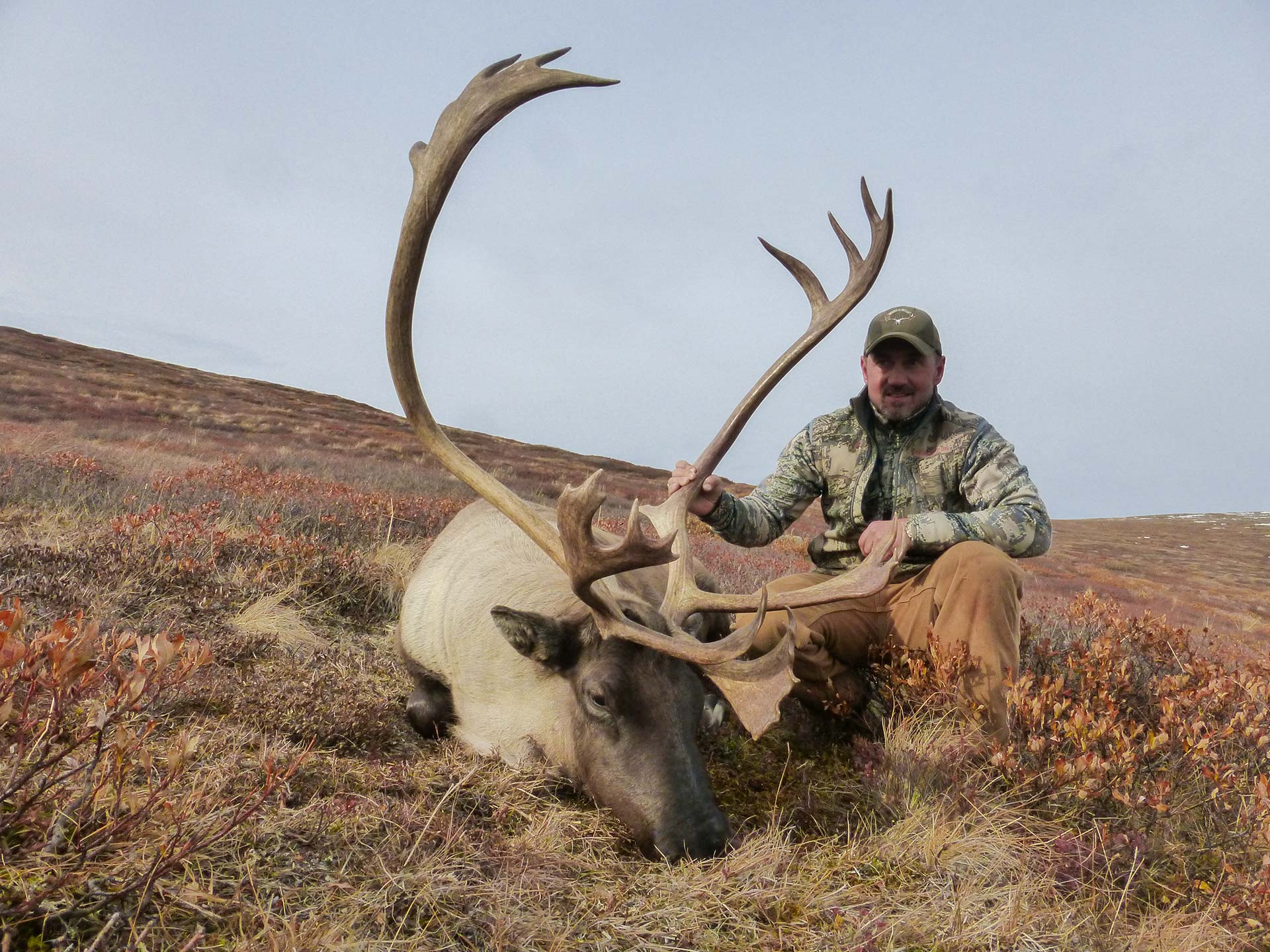 Caribou hunting in the Yukon